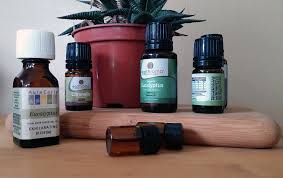 cbd tinctures